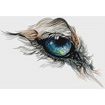 (image for) Eye of the Wolf
